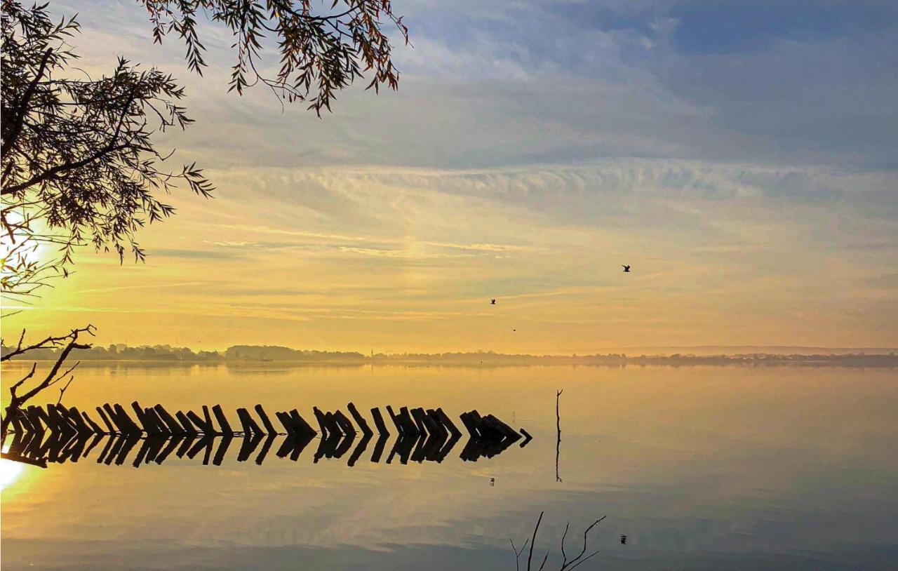 Beautiful Home In Lembruch-Duemmer See With Wifi Buitenkant foto